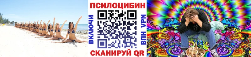 Галлюциногенные грибы Psilocybine cubensis  Людиново 
